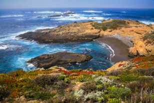 Point Lobos-0090 Point Lobos-0090